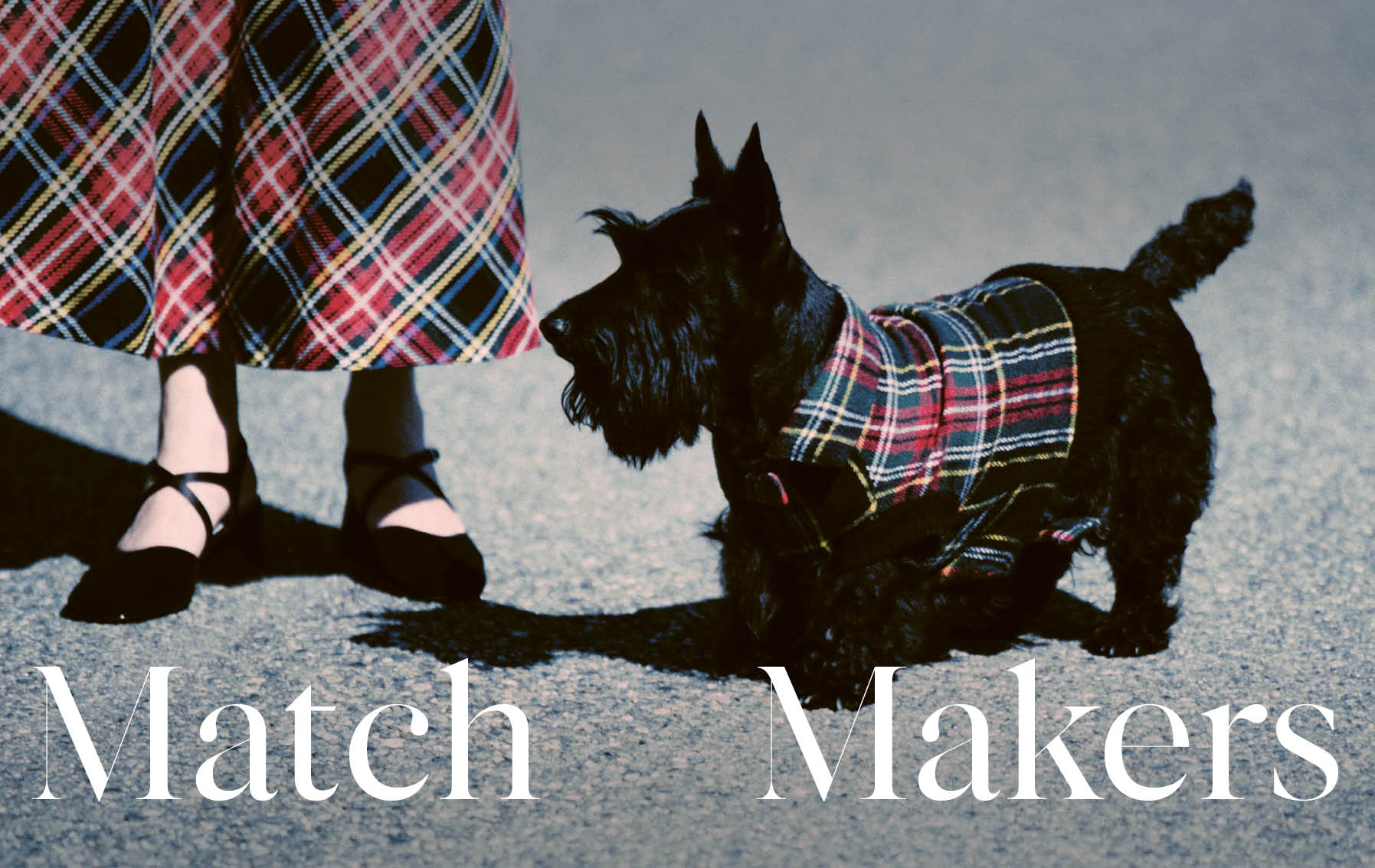 This is an embedded image