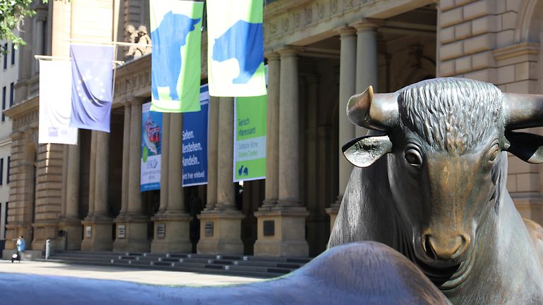 Experience the stock exchange