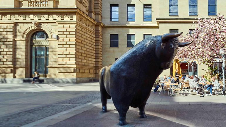 Bull looks to right