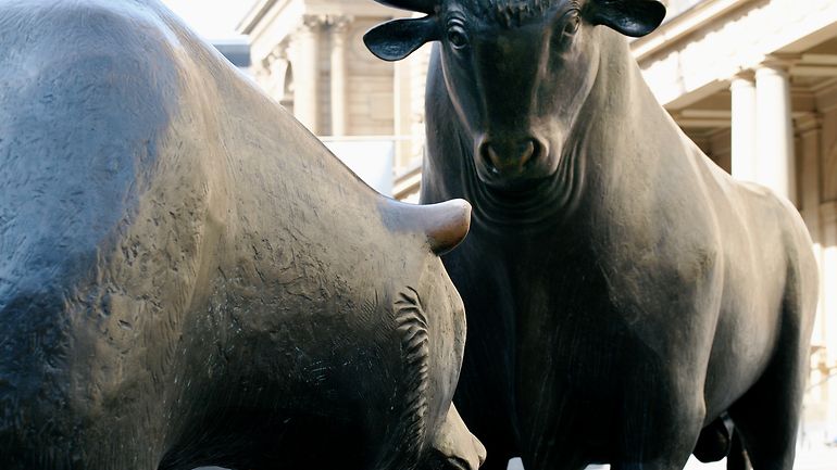 Bull and bear