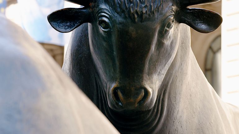 Bull and bear