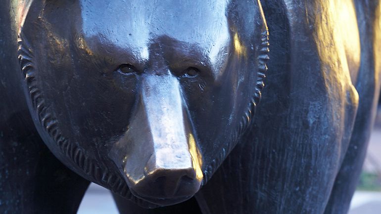 Bear frontal